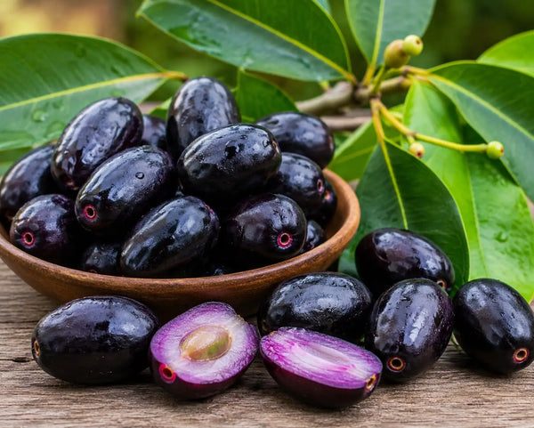 Jamun